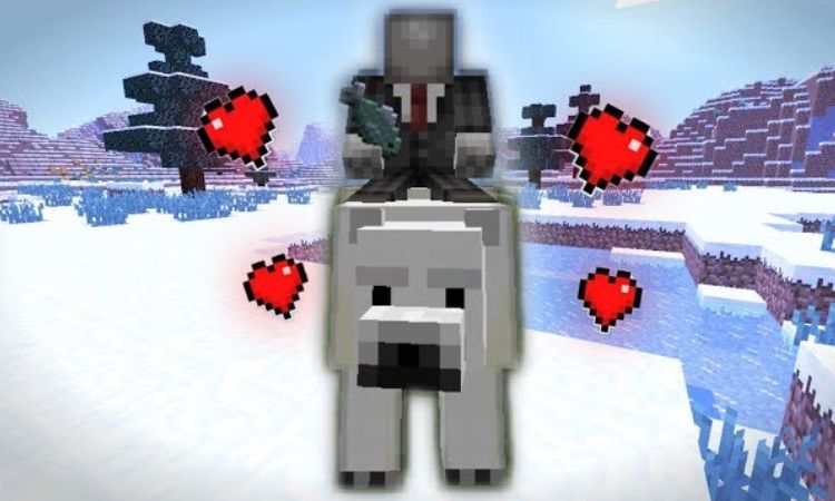 Cách tạo mối quan hệ thân thiết với gấu Bắc Cực Minecraft