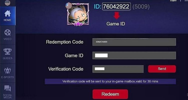 Nhập mã code và game ID cần thiết vào ô trống 