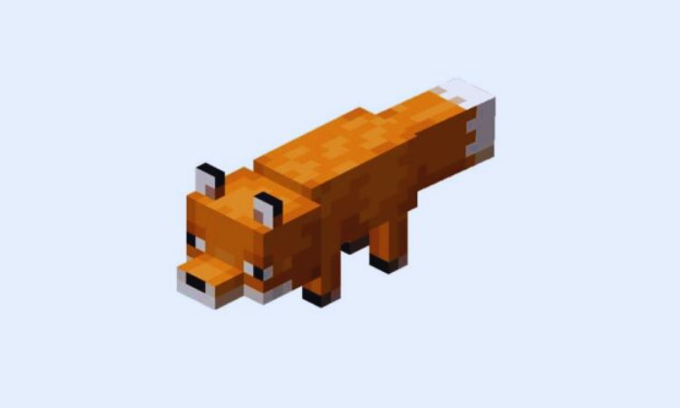 Thông tin cơ bản về cáo trong game Minecraft