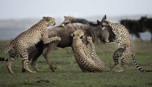 Ảnh Màu - Bí Quyết Nâng Tầm Nội Dung Kỹ Thuật Số
