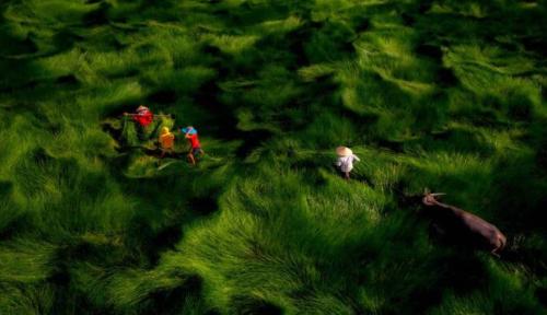 Ảnh Tilt-Shift - Bộ Sưu Tập Hình Ảnh Nghệ Thuật Độc Đáo