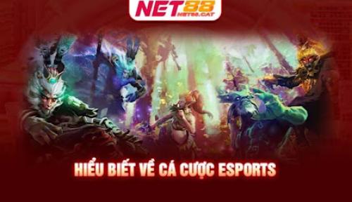 Chơi Esports cùng sân chơi Net88 dễ dàng ngay hôm nay