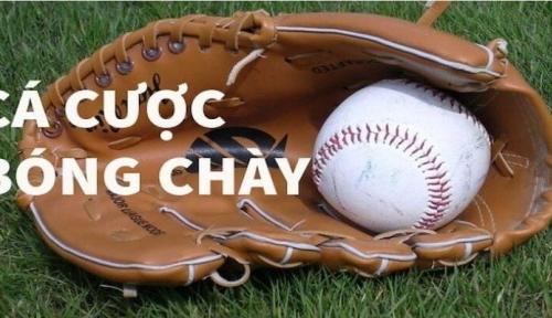 Chơi bóng chày từ A đến Z: từ luật chơi đến chiến thuật