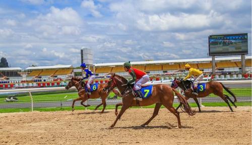 Đua Ngựa Trực Tuyến Tại Thể Thao 11Bet – Kịch Tính Và Cơ Hội Thắng Lớn