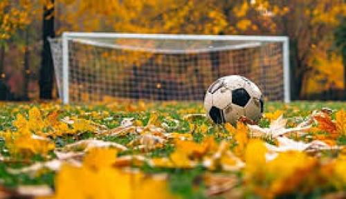 Gài kèo - dụ kèo là gì? Bí quyết thấu hiểu chiến thuật trong cá cược thể thao