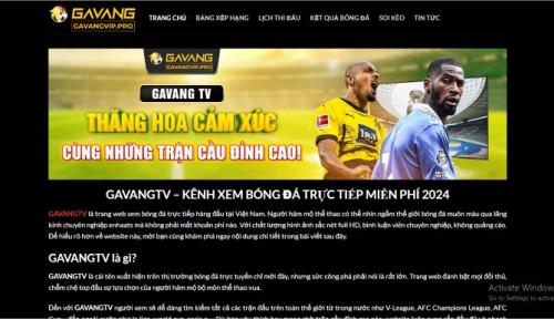 GAVANG TV - Mang Thế Giới Giải Trí Đến Ngôi Nhà Của Bạn