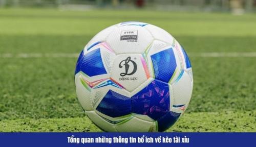 Kèo Tài Xỉu FB88 – Cách Đặt Chuẩn Và Dễ Hiểu Nhất 2025