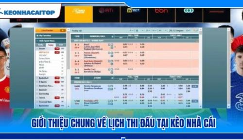 Lịch thi đấu bóng đá: Cập nhật mới nhất các giải đấu đỉnh cao 2026