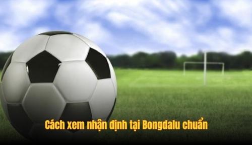 Nhận Định Bongdalu - Những Góc Nhìn Chuẩn Chỉnh Từ Chuyên Gia