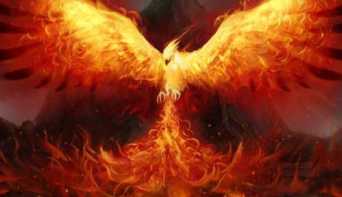 Sicbo Phượng Hoàng – Biểu Tượng Linh Điểu Gắn Liền Với Trò Chơi Xúc Xắc