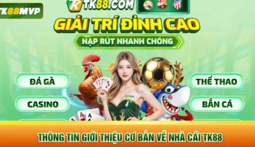 TK88 MVP - Website Chính Thức Nền Tảng TK88 Tại Việt Nam