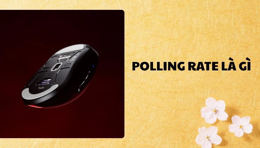 Polling rate là gì